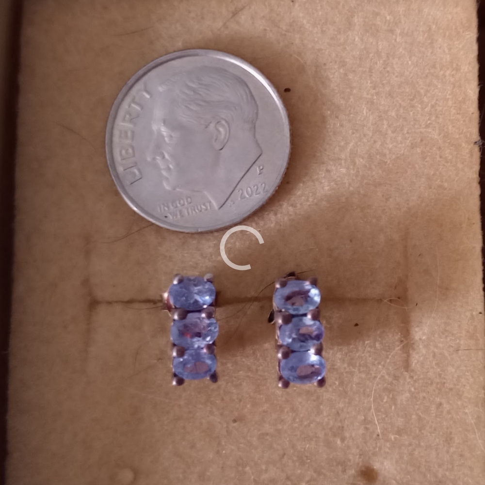 Elegant Silver and Blue Gemstone Earrings